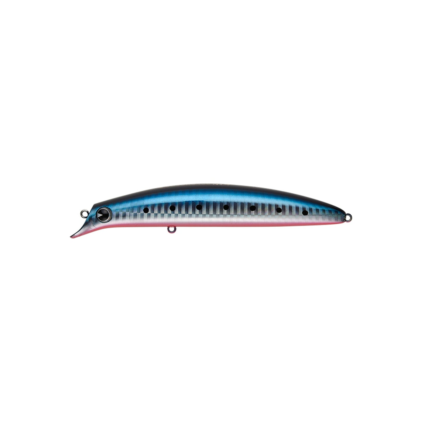 sasuke 130 Goriki #109 Hot Belly Sardine