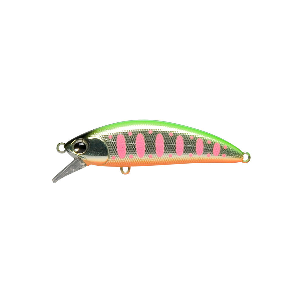 Sukari 50SS #105 Orange Belly Lime Back