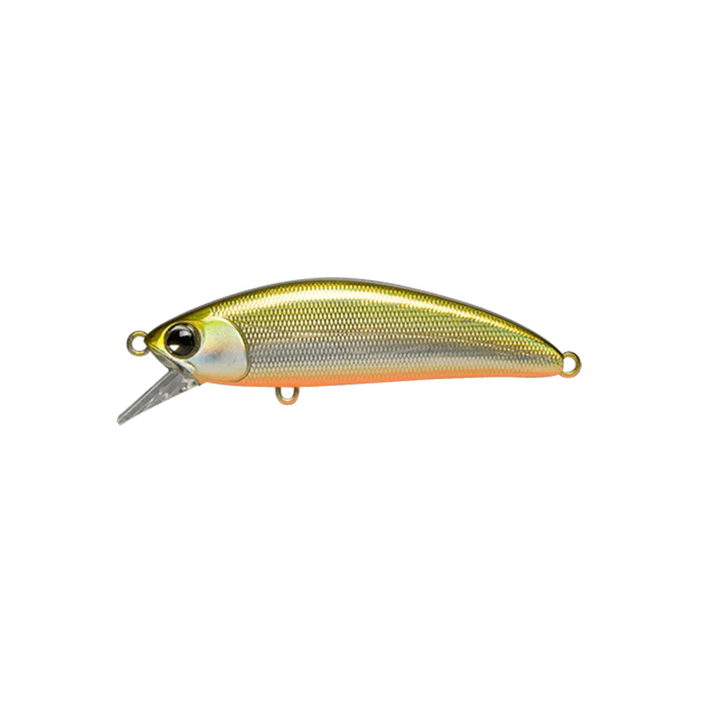 Sukari 50SS #112 Classic