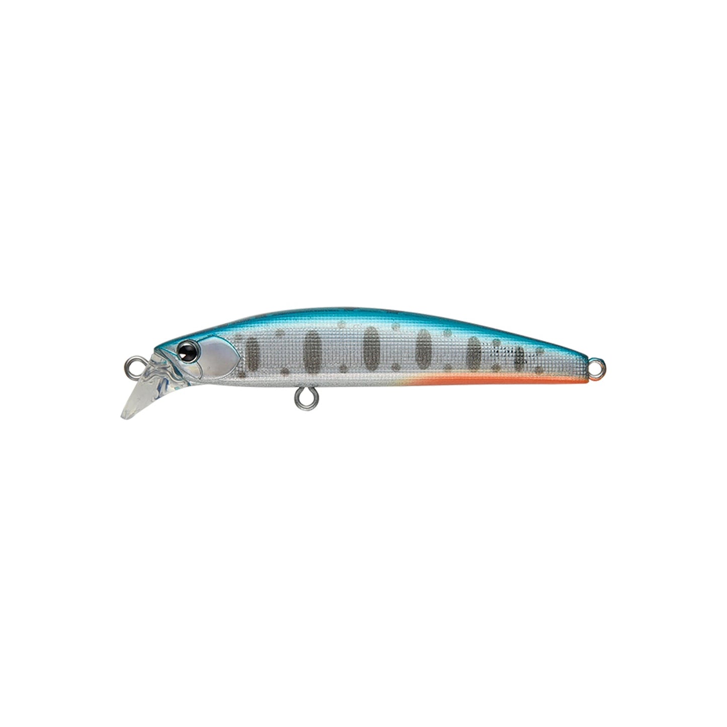 Twig 60 #013 Blue Back Yamame