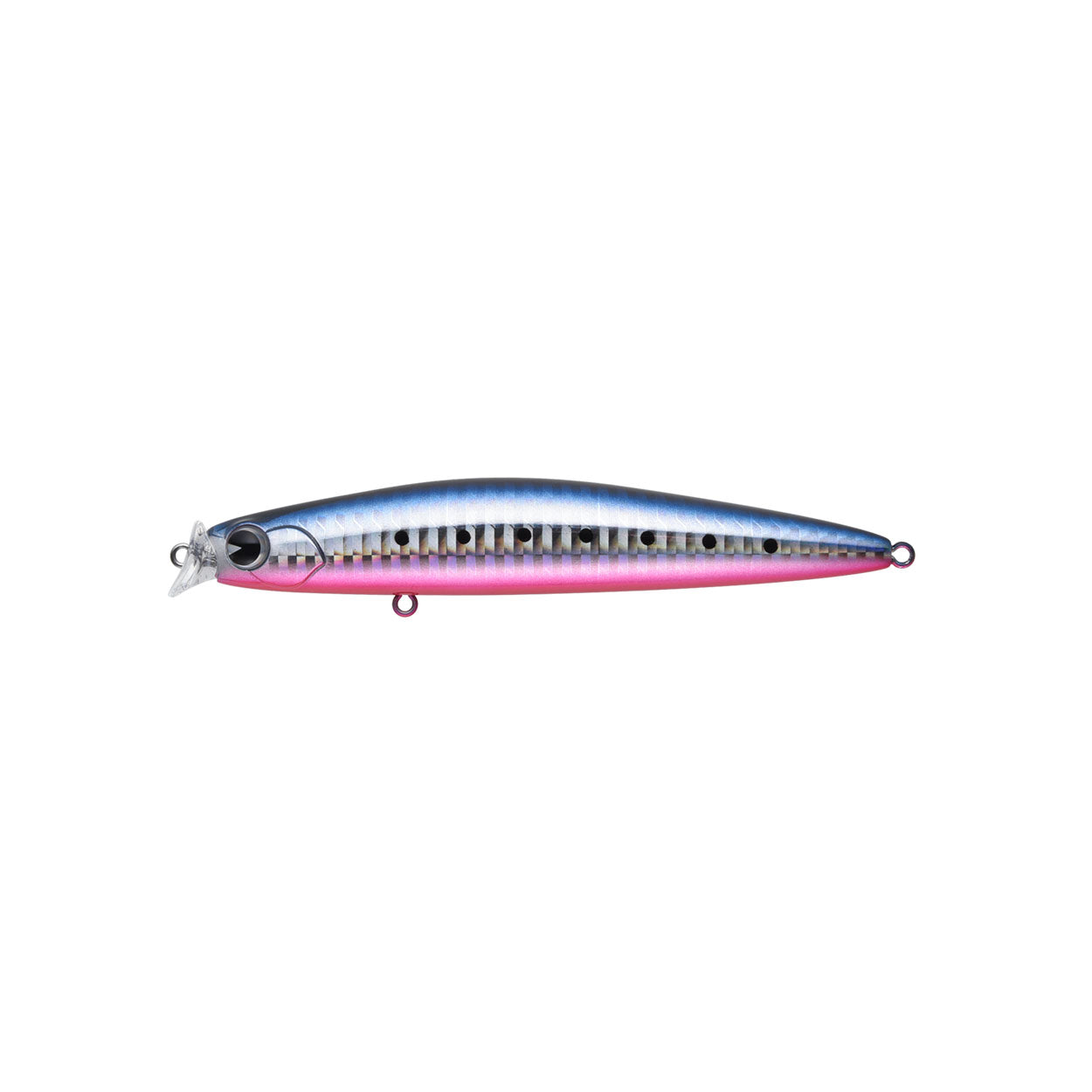 kosuke 110F #010 Hot Belly Sardine