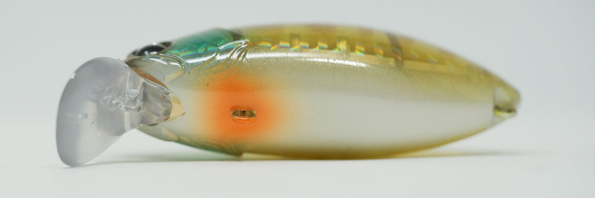 Rattling Roumba #009 GhostGill