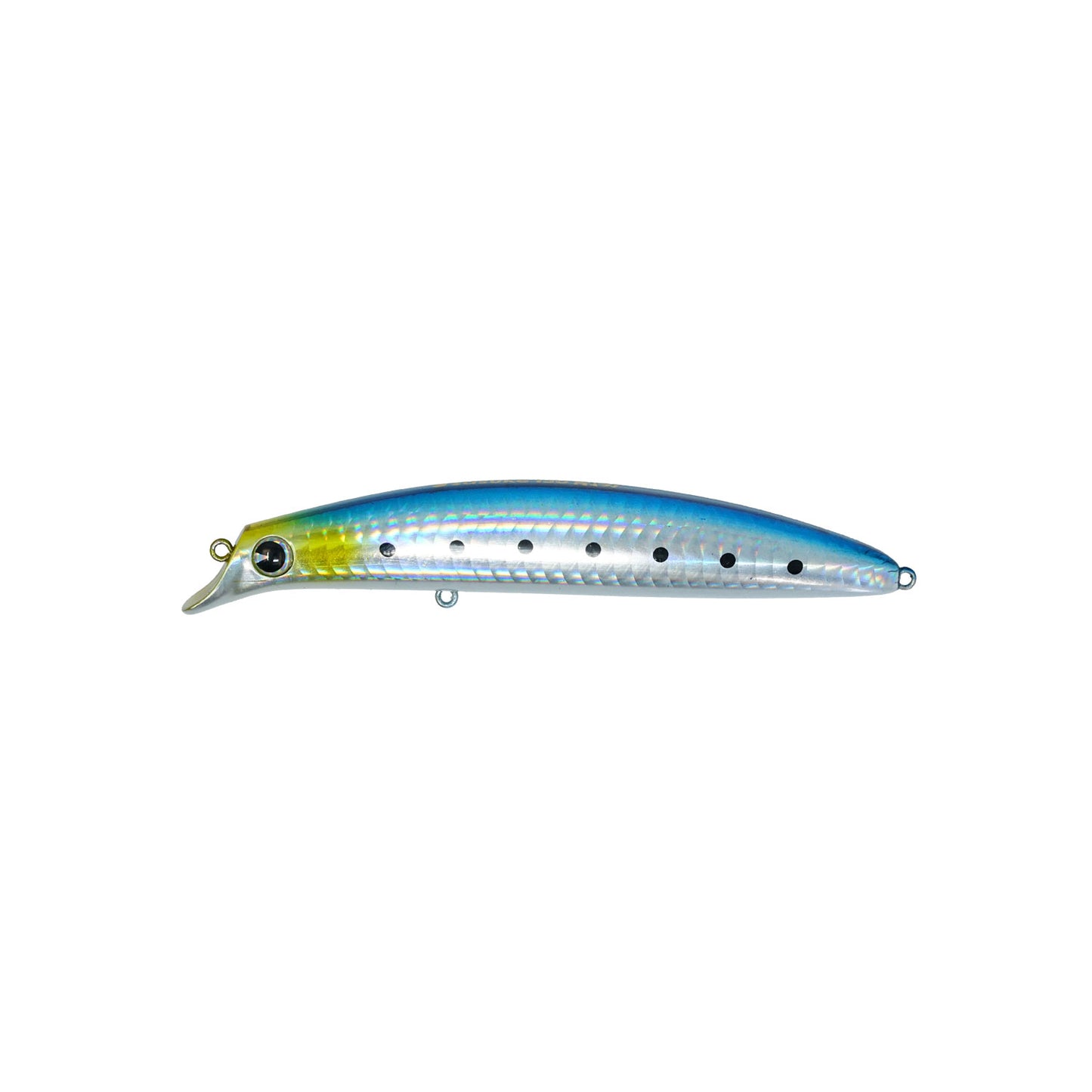Sasuke 130 Goriki GR130 #Z337 Sardine