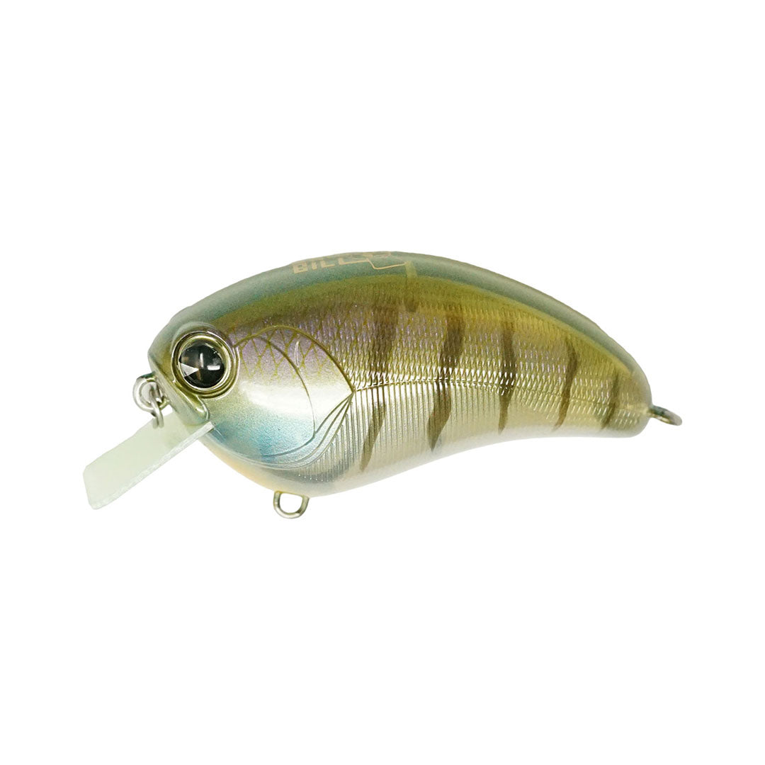 Square Bill #103 Bluegill