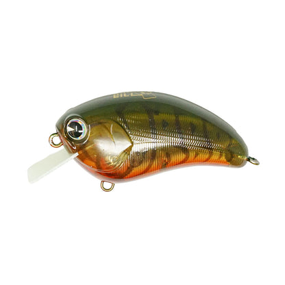 Square Bill #178 Watermelon Craw