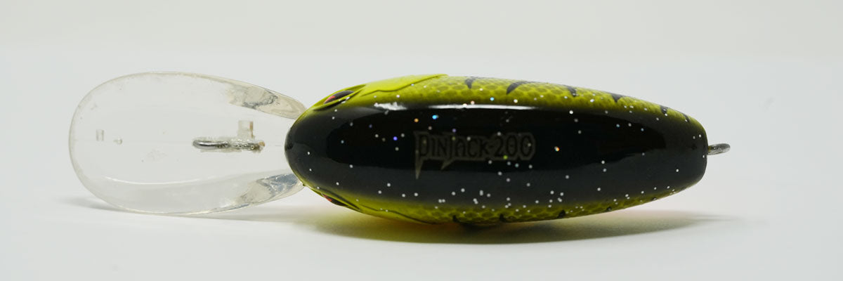 Pinjack 200 #161

Barred Black Back Chart