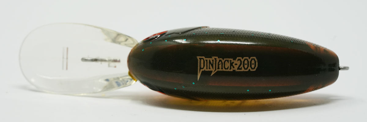 Pinjack 200 #178

Watermelon Craw