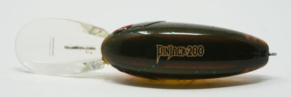 Pinjack 200 #178

Watermelon Craw