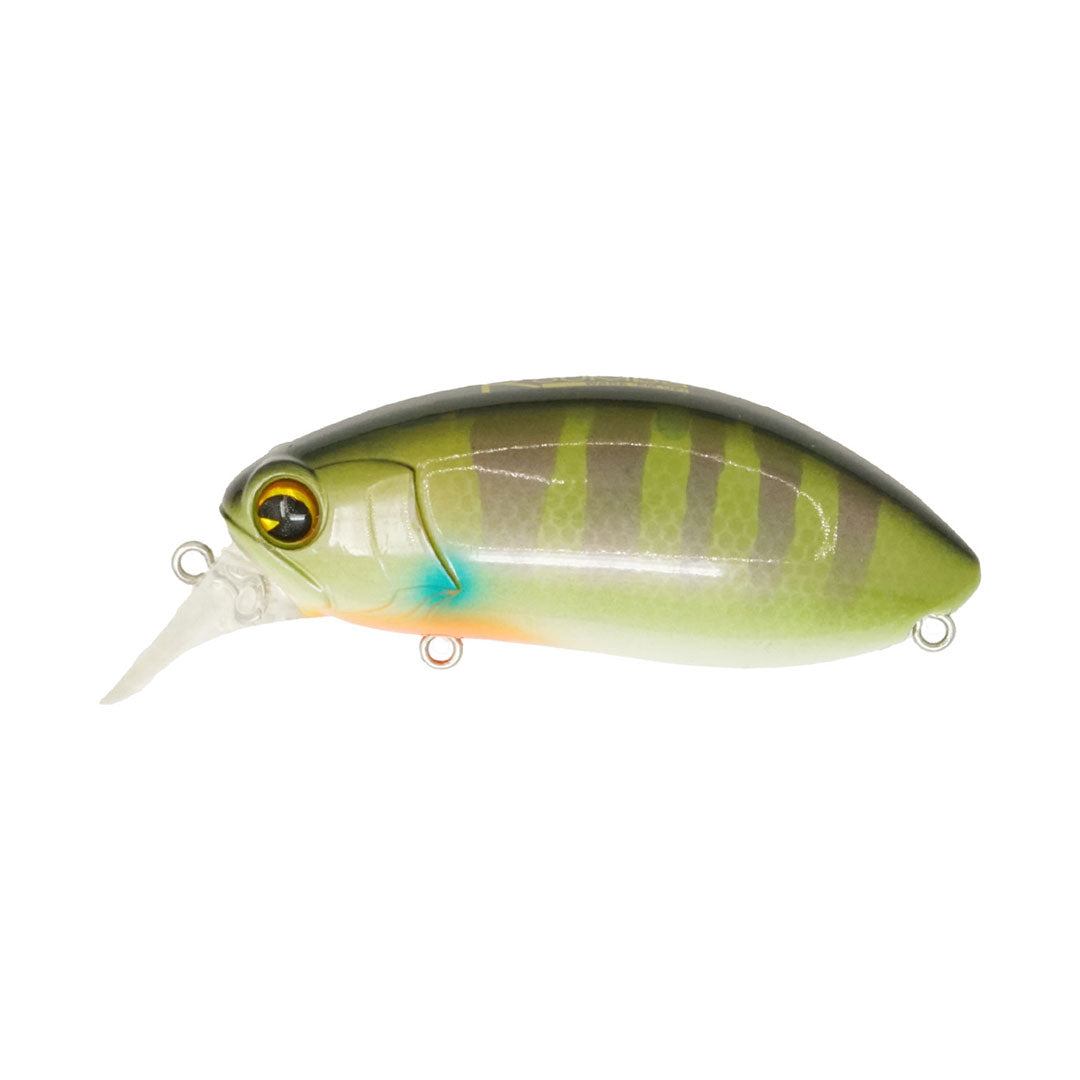 Roumba #103  Bluegill