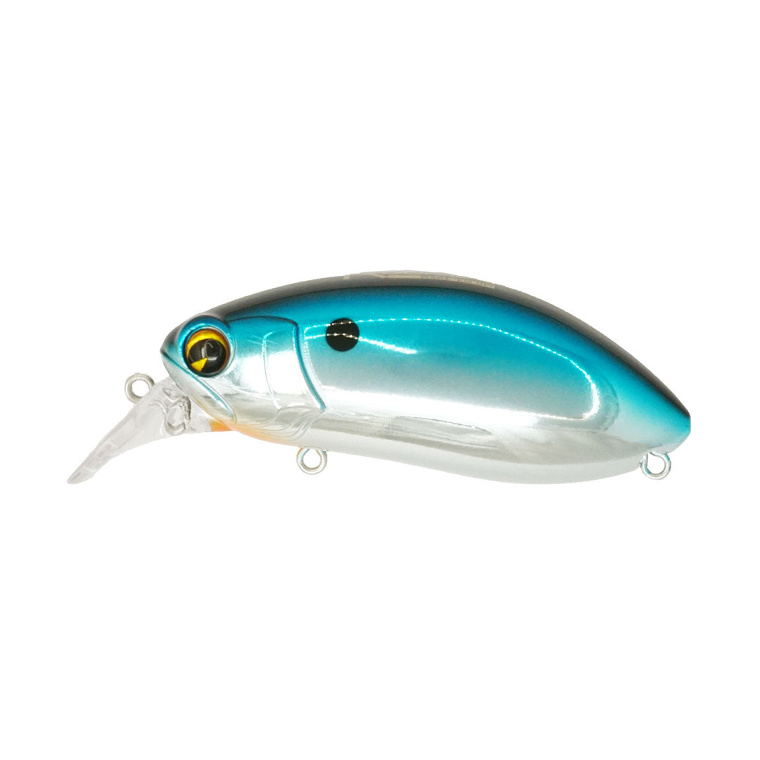Roumba #118  Gizzard Shad
