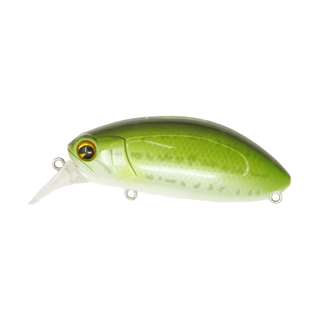 Roumba #119  Baby Bass