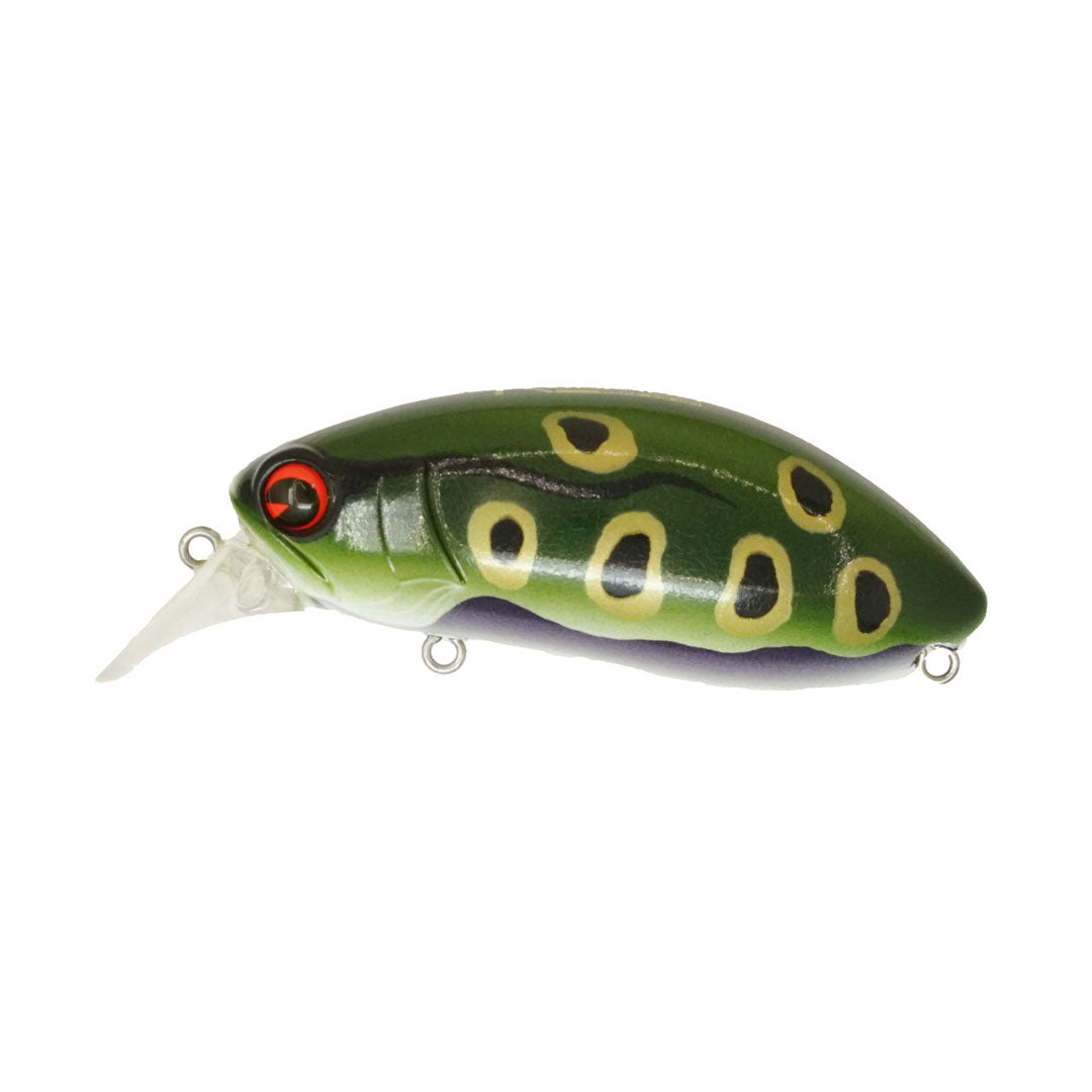 Roumba #123 Bull Frog
