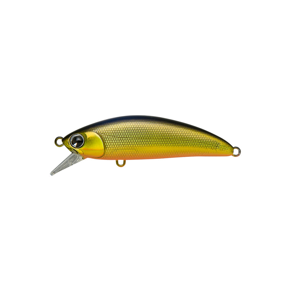 Sukari 50SS #102 Gold Black