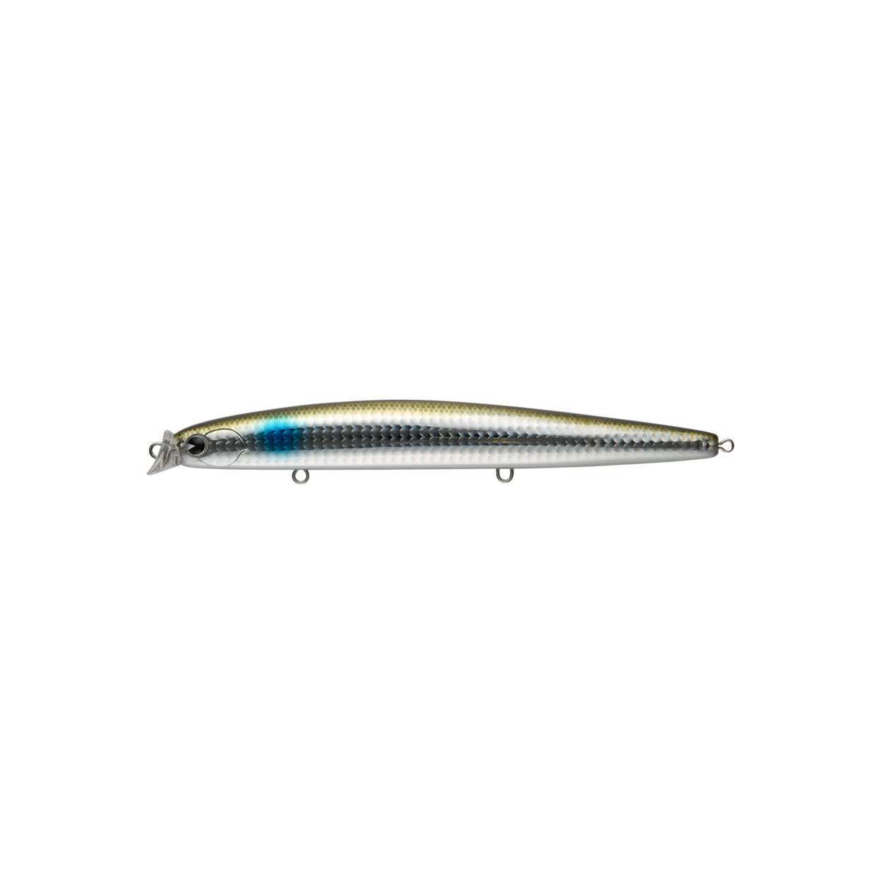 kosuke 170F #007 Sardine