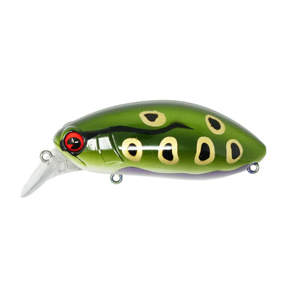 Rattling Roumba  #123 Bull Frog