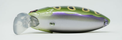 Rattling Roumba  #123 Bull Frog