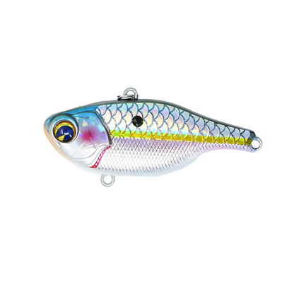 Rock N’ Vibe #105S  Scaled American Shad