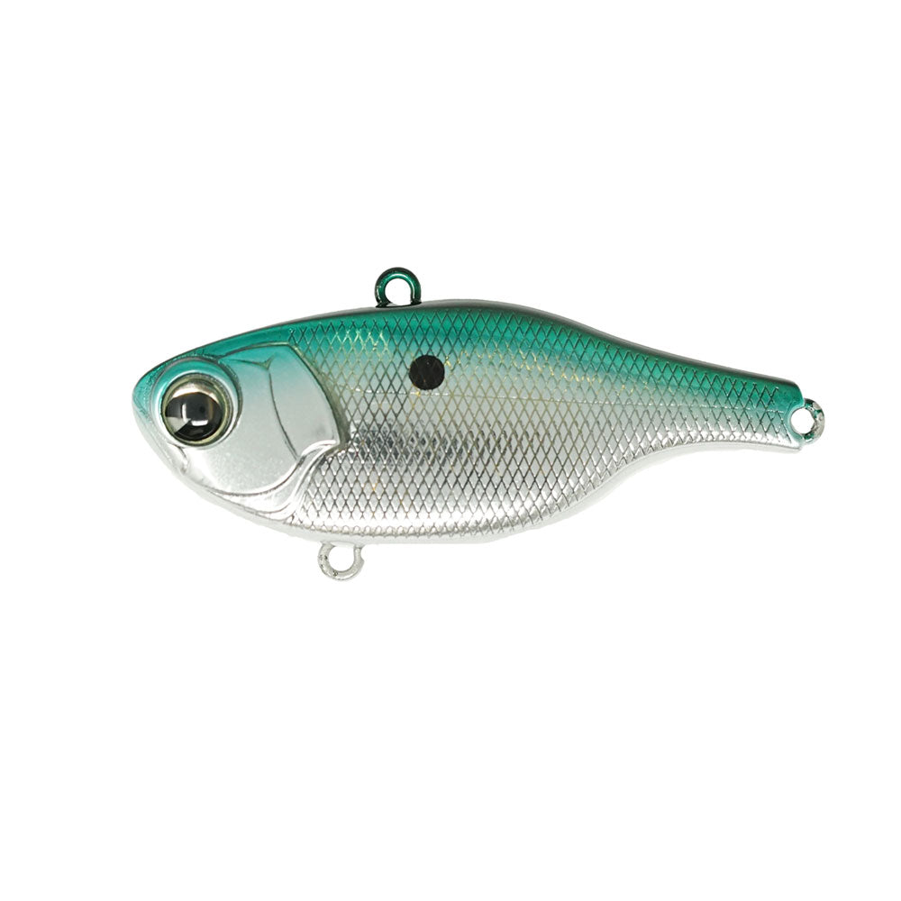 Rock N’ Vibe #130 Chattahoochee Chrome