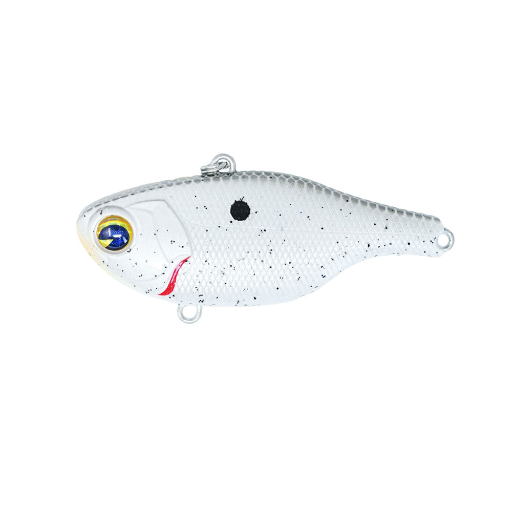 Rock N’ Vibe #132 Hot Shad