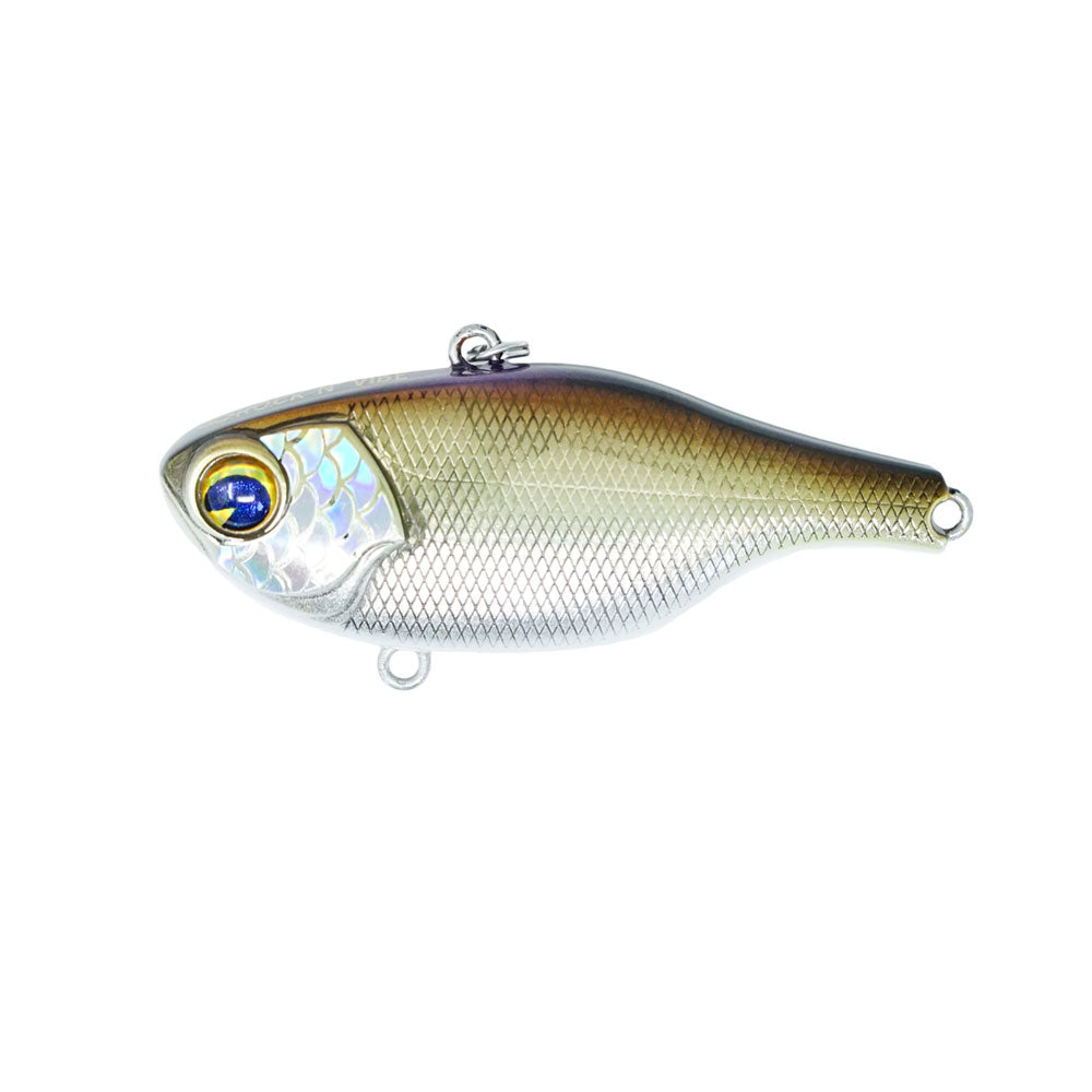 Rock N’ Vibe #140S Scaled Shad