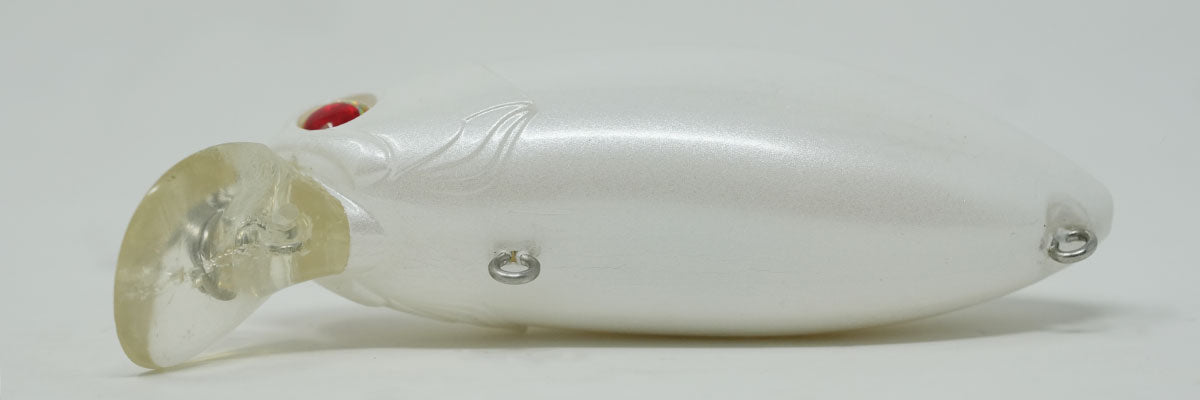Roumba #110

Albino