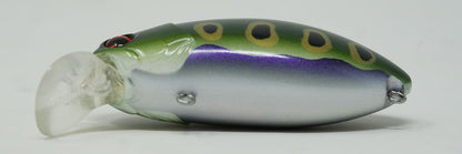 Roumba #123 Bull Frog