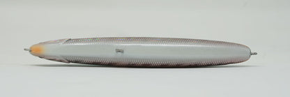 Skimmer GRANDE #105

American Shad