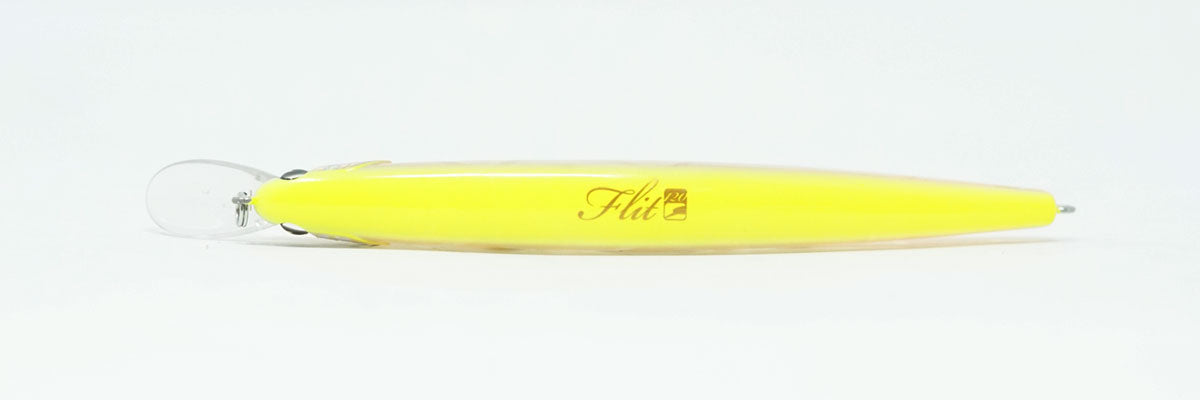 Flit 120 #005S SCALED Flash Chart